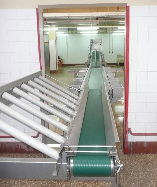 Lineair sexing lines during chick processing